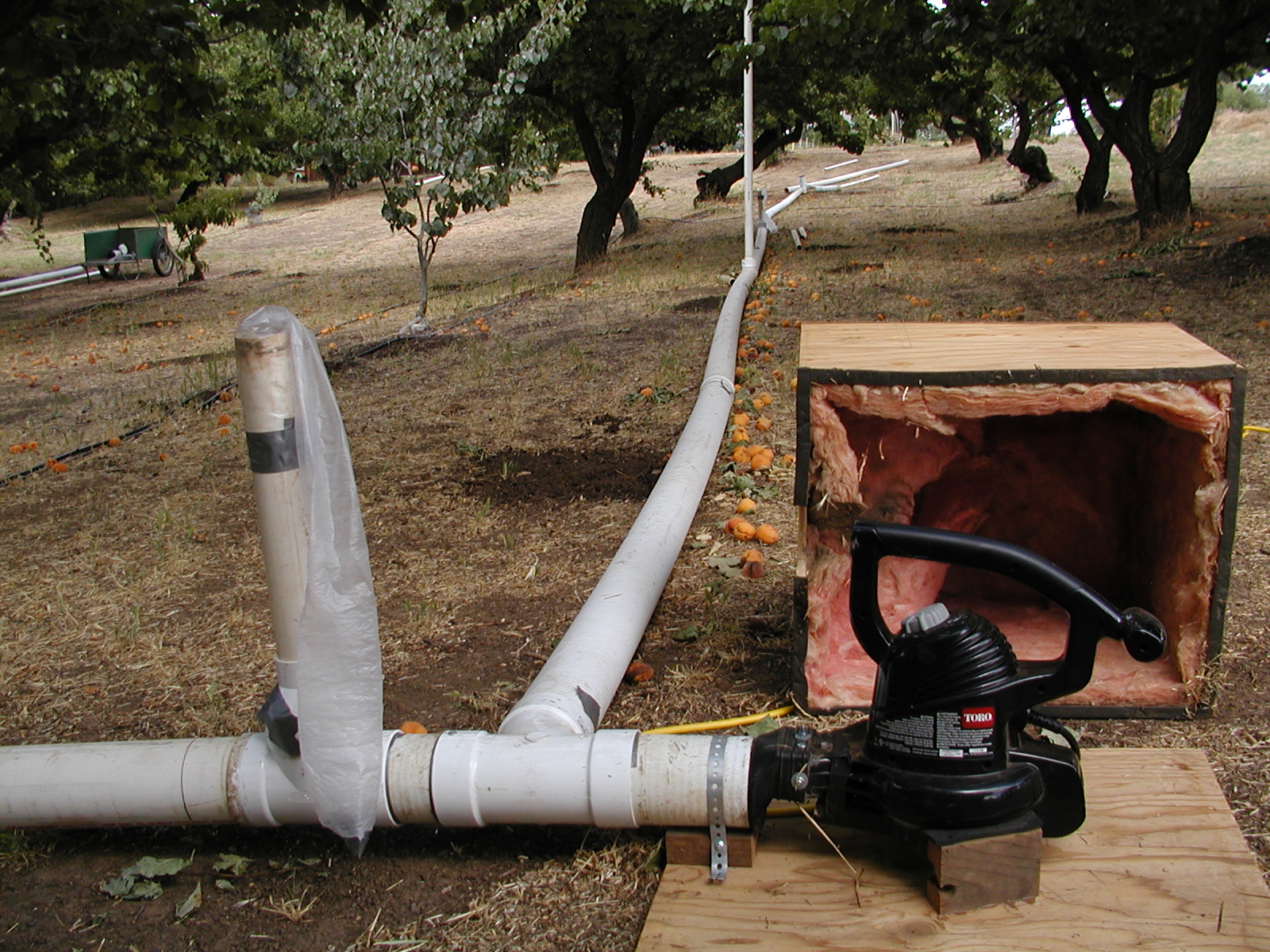 Orchard bird scare machines Farm Hack